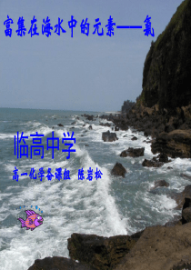 富集在海水中的元素氯.ppt