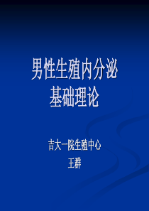 男性生殖内分泌基础