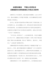 加强党的建设-不断壮大党员队伍——集团党支部党建创新工作亮点汇报材料