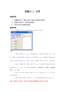 实验十二-文件