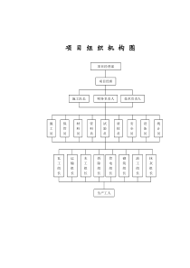 项-目-部-组-织-机-构-图