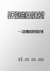 家纺行业财务报表分析案例