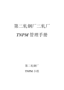 tnpm管理制度