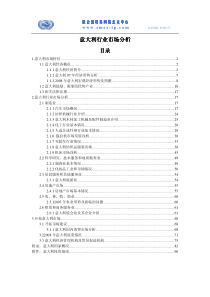 市场分析--意大利行业市场分析（PDF 196页）