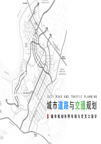 城市道路与交通规划-城市道路停车场