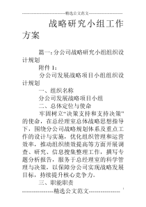 战略研究小组工作方案