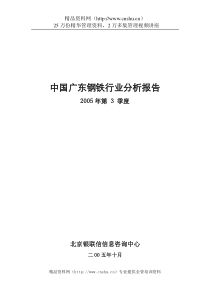 广东钢铁行业分析报告（DOC80页）