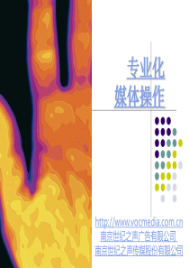 广告公司传媒行业-专业化的媒体操作-分析-市场需求-受