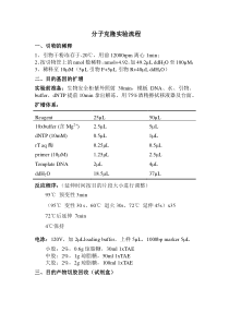 分子克隆实验流程