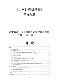 水下机器人研究现状与探索