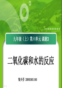 二氧化碳和水的反应.ppt