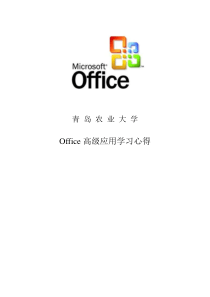 office高级应用论文