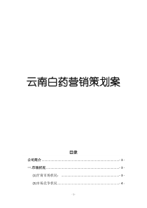 云南白药营销策划案完整版本