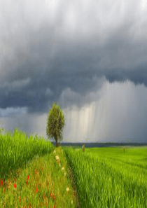 《要下雨了》教学课件(课文讲解)