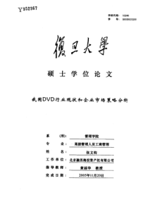 我国DVD行业现状和企业市场策略分析