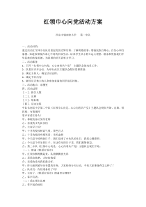 红领巾心向党活动方案