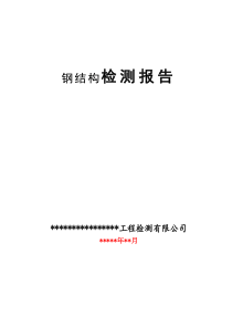 钢结构检测报告数据样本