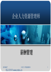 企业人力资源管理师-薪酬管理(ppt114页)