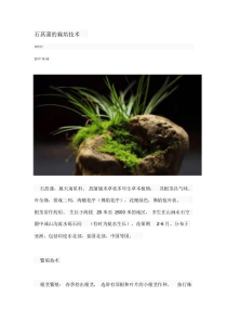 石菖蒲的栽培技术