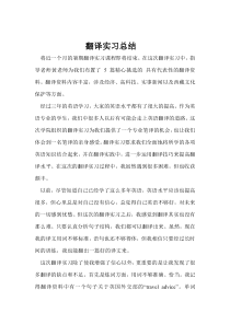 翻译实习总结