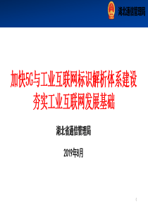 加快5G与工业互联网标识解析体系建设夯实工业互联网发展.ppt