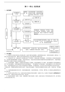 高中物理复习光学知识点总结