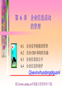 企业信息活动的管理(ppt 50页)