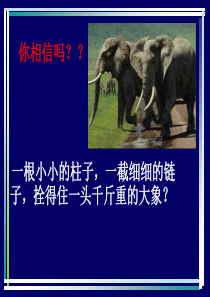 习惯养成主题班会PPT课件及教案主题班会习惯教育PPT课件及教案主题班会