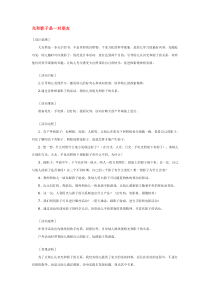 光和影子是一对朋友省示范幼儿园大班科学教案