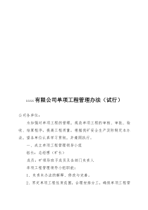 XXXX煤矿单项工程管理办法