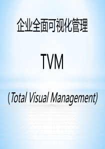 企业全面可视化管理（PDF78页）