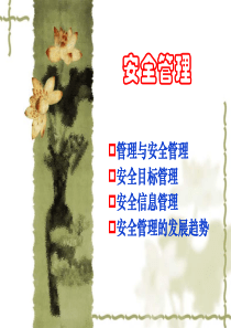 企业公司安全管理方案