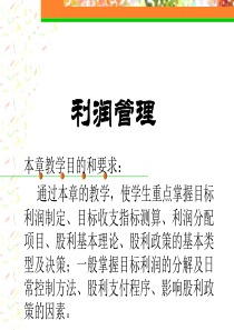 企业利润管理