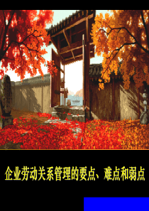 企业劳动关系管理的要点、难点和弱点(ppt86)(1)