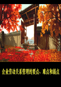 企业劳动关系管理的要点、难点和弱点（PPT 86页）(1)