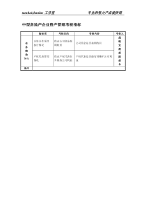 中型房地产企业资产管理考核指标.