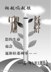 无烟花季网络吸烟手机教育篇主题班会课件PPT