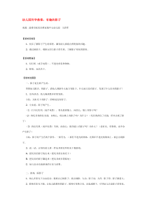 有趣的影子省示范幼儿园中班科学教案