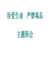 珍爱生命严禁毒品主题班会生命健康教育PPT课件及教案主题班会