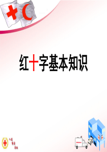 红十字基本知识生命健康教育PPT课件及教案主题班会