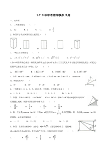 2018年中考数学模拟试题