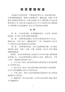 XX小贷公司信贷管理制度