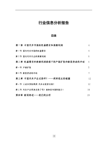 汽车行业信息分析报告(1)