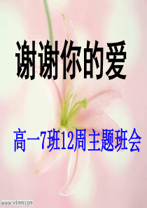 谢谢你的爱团结合作主题班会课件PPT