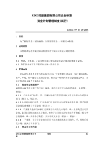 XX控股集团有限公司企业标准资金计划管理制度(试行)