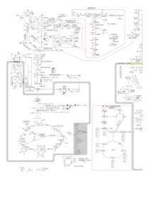 生物化学三大代谢图