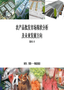 农产品批发市场现状及未来发展方向(20131128)