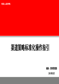 2015年5月渠道策略标准化操作指引全