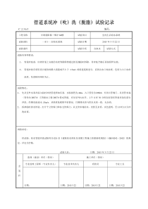 14、管道系统冲(吹)洗(脱脂)检验记录