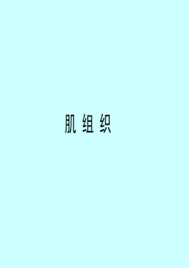 组织胚胎学课件-肌组织